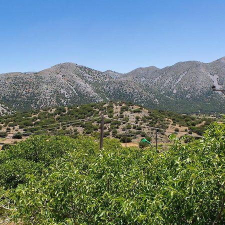 Villa Skyphos Ammoudari Esterno foto