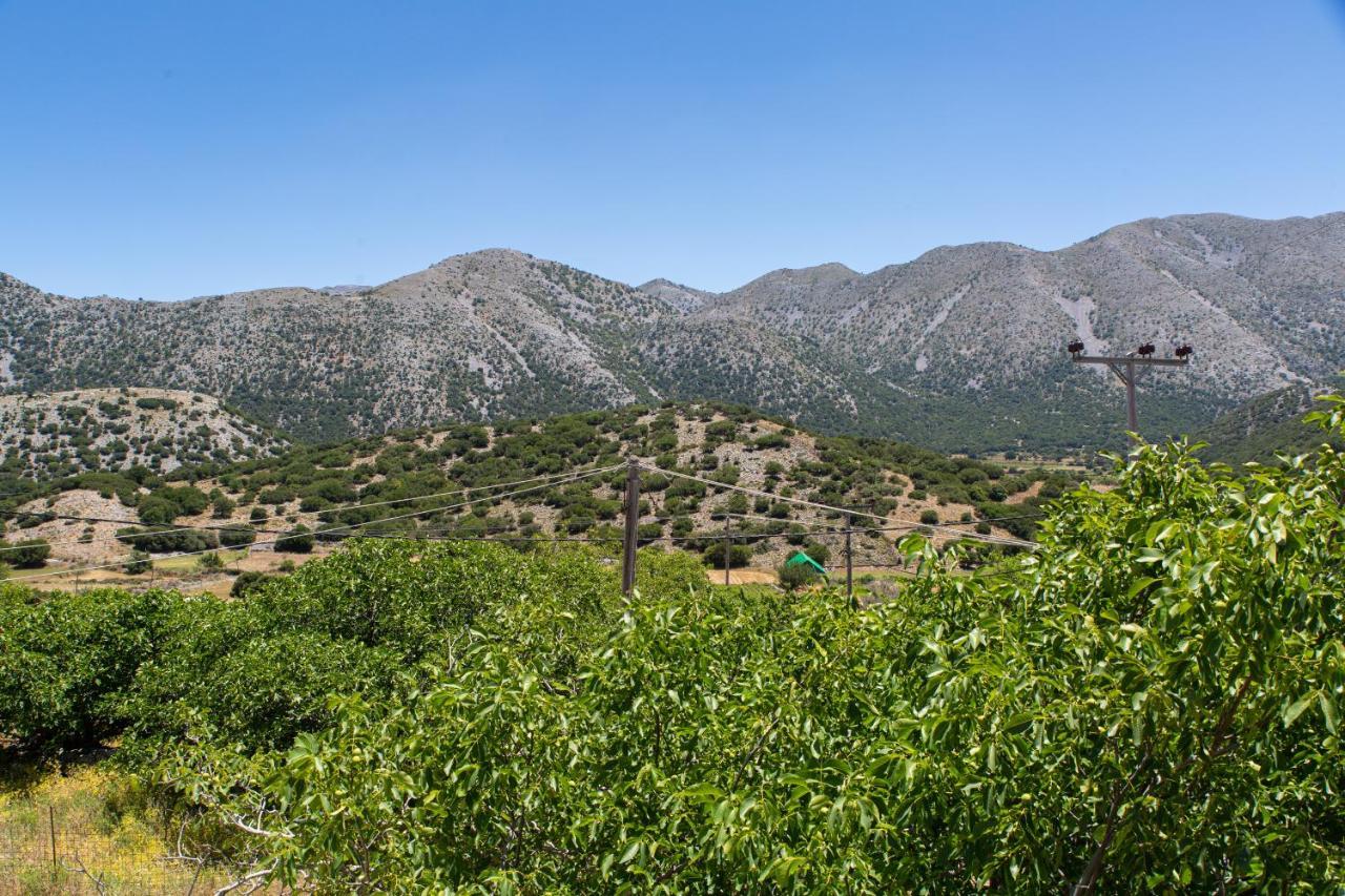 Villa Skyphos Ammoudari Esterno foto